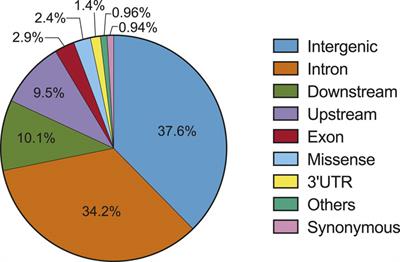 Towards functional maps of non-coding variants in cancer